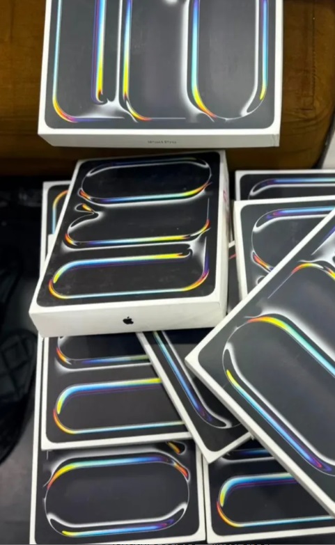 Apple 13